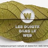 les-doigts-web